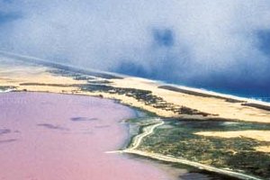 Le lac rose, merveille de la nature