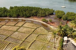 La Casamance