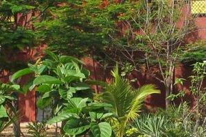Musée d'art et d'histoire des cultures de l'Afrique de l'Ouest de Djilor : la caverne aux trésors