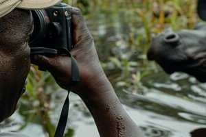 Formalités pour pratiquer la chasse