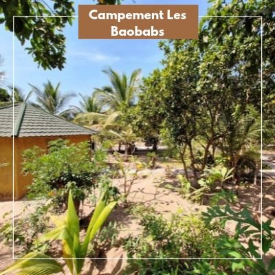 Profitez de la promotion du Campement Les Baobabs et offrez-vous un séjour à prix avantageux jusqu'au 31 octobre 2026 !