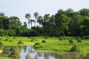 La Casamance, une destination tendance