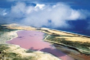 Le lac rose, merveille de la nature