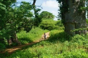 Balade au Sénégal oriental : pourquoi pas en vélo ?