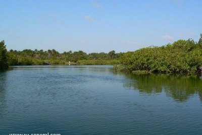 Parc national du delta du Saloum