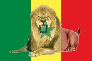 Coupe d'Afrique des Nations 2022 : les joueurs sénégalais et le calendrier des matchs