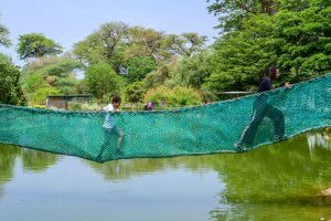 Accro Baobab : sensations fortes et nature authentique