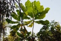 Casamance Ecoparc