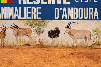 Réserve animalière d'Amboura