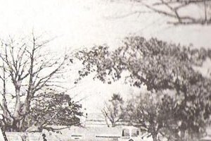 Les pencs Lebou de Dakar