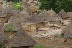 Sénégal écotouristique : à la découverte d'un paradis durable