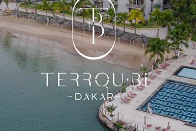 Terrou Bi
