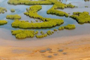 Réserve naturelle communautaire de Palmarin