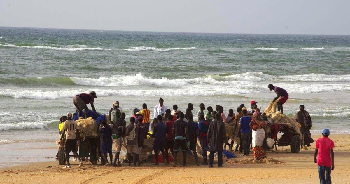 voyage carrefour senegal