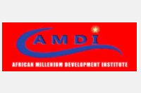 AMDI/ Institut du Millénaire Africain pour le développement 