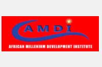 AMDI/ Institut du millénaire africain pour le développement 