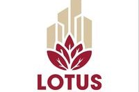 Lotus Immobilier