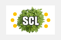 SCL / Société de Cultures Légumières