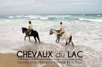 Les chevaux du Lac