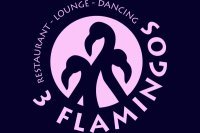3 Flamingos