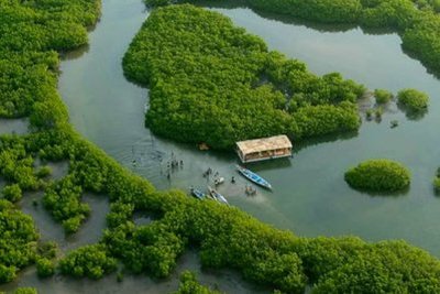 Et si vos vacances au Sénégal sortaient de l'ordinaire ? Entre lodges perchés dans les baobabs, (…)