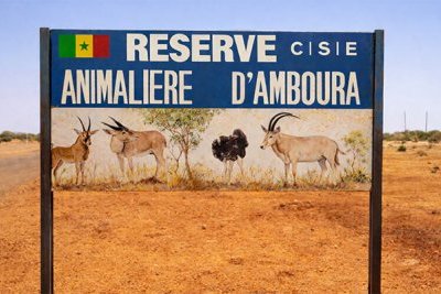 Réserve animalière d'Amboura